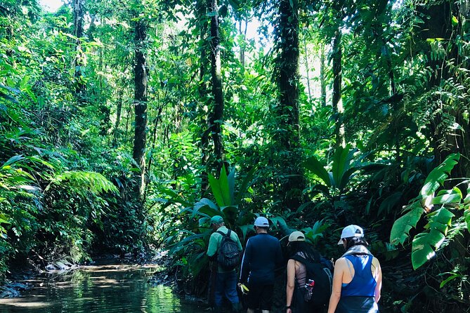 Private Jungle Hike to 2 Waterfalls With Lunch - What to Expect