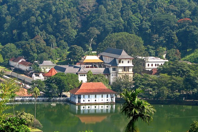 Private Kandy Day Tour From Colombo - Tour Overview