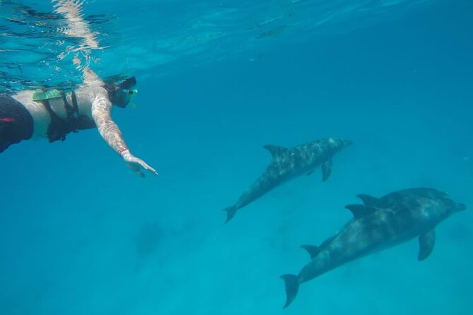 Private Luxury Dolphin House Boat Tour in Hurghada