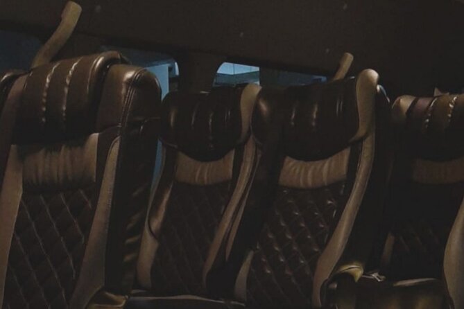 Private Minivan for Departure & (Unguided) City Tour Singapore - Booking Details
