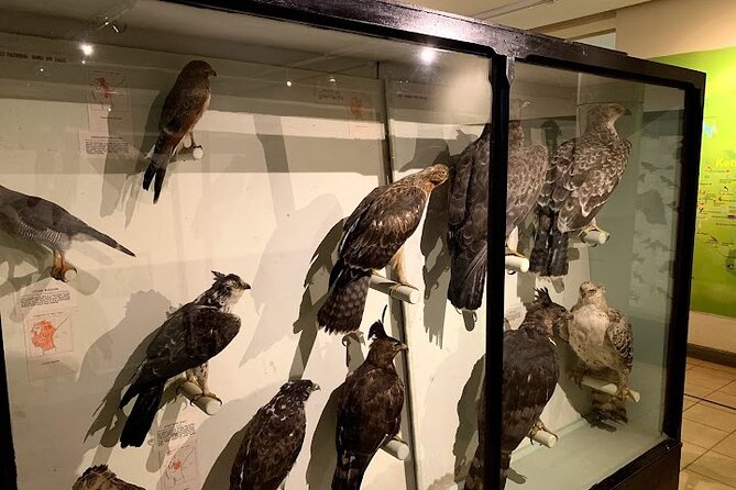 Private Museum Tours in Nairobi Kenya - Tour Overview