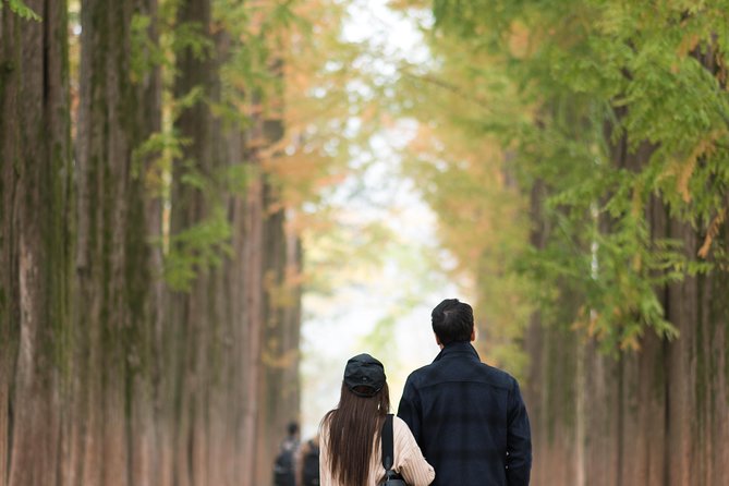 Private Nami Island Photo Shoot and Tour With a Photographer - Inclusions
