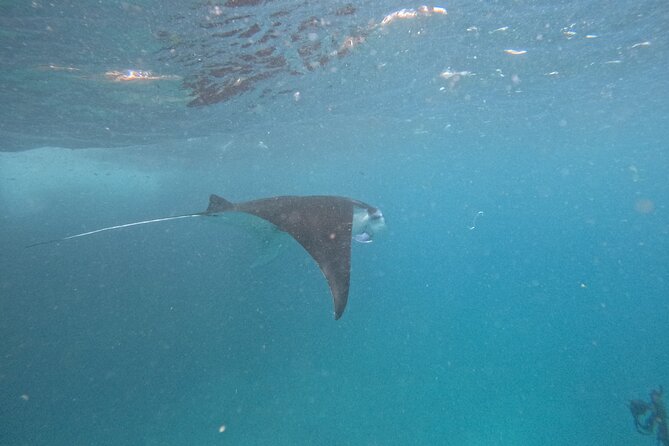 PRIVATE Nusa Penida on Boat Snorkeling & Island Tour (INCLUSIVE) - Additional Information