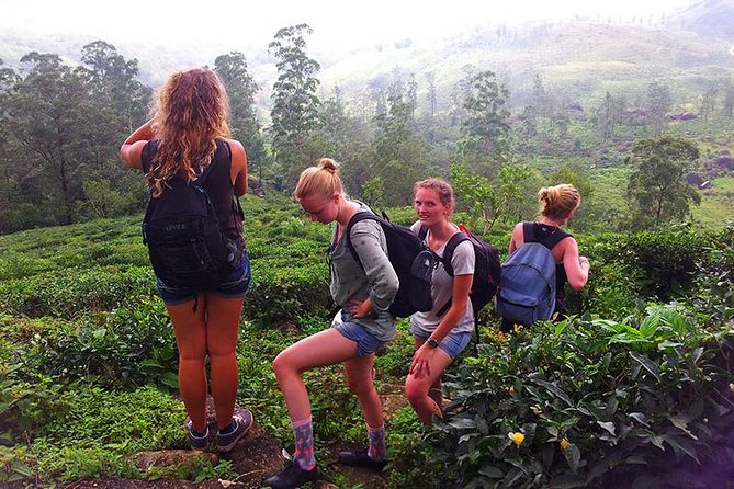 Private Overnight Adventure Tour to Knuckles and Meemure Village With Camping - Camping Experience