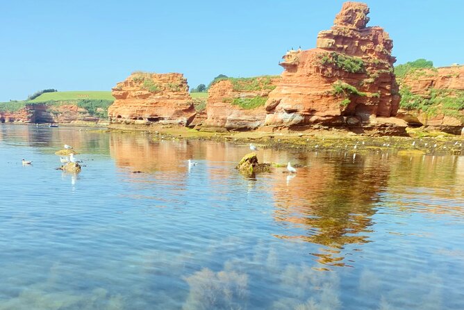 Private Paddle Board Tour to Ladram Bay From Sidmouth - Location Details