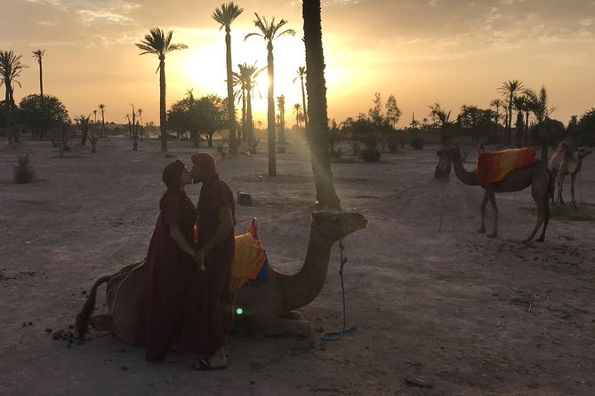 Private Palm Grove Camel Ride With A Tea Break. - Duration and Inclusions