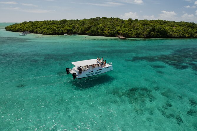 Private Power Catamaran Trip From Pointe Jerome