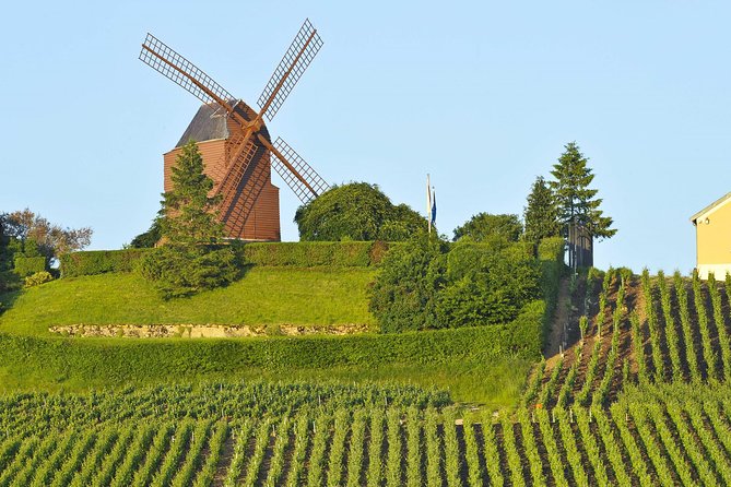 Private Reims Champagne With Minivan - Tour Highlights