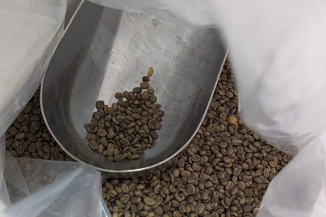 Private Roasting and Cupping Coffee Experience - Experience Location and Equipment Provided