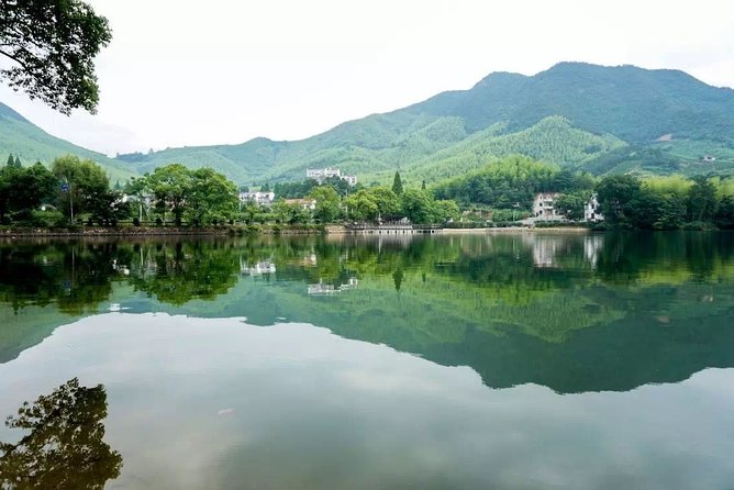 Private Round Trip Transfer to Mogan Mountain From Hangzhou