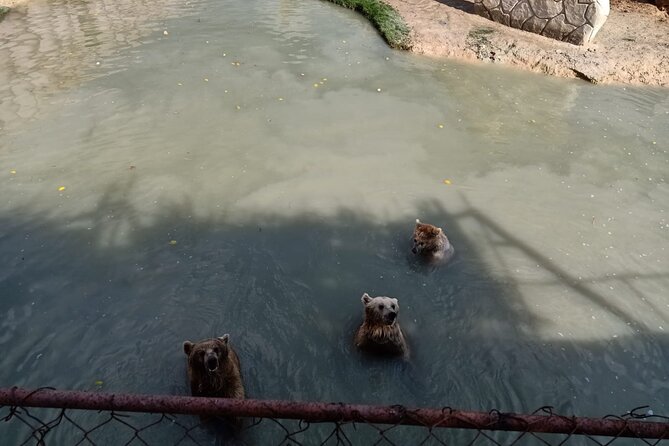 Private Safari Tour To Africano Park Alexandria From Cairo - Meeting and Pickup