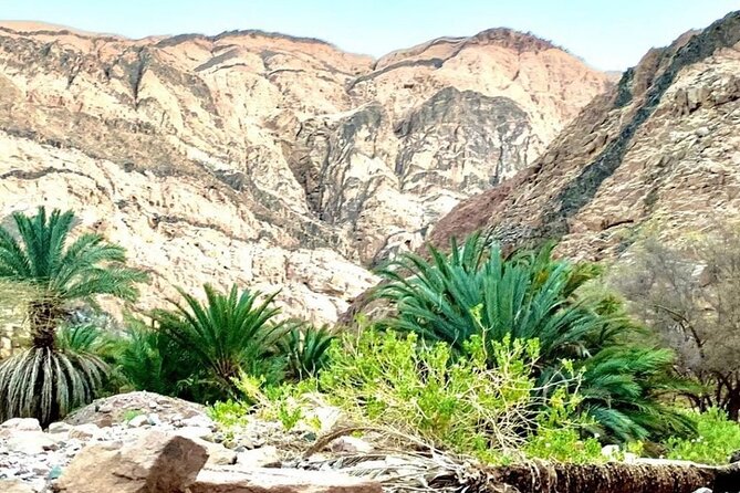 Private Safari Wadi Qunai and Three Pools Tour With Pickup - Meeting and Pickup Information