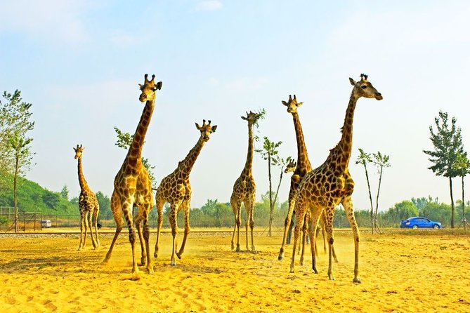 Private Seasonal Day Tour to Beidaihe From Beijing With Birding Experience - Inclusions and Exclusions