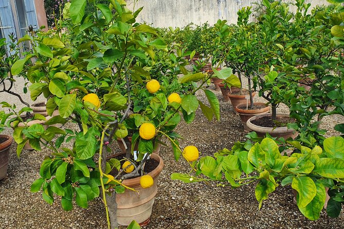 Private Session Learning Italian in the Boboli Gardens - Meeting Information