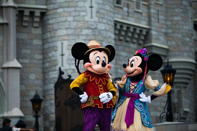 Private Shuttle Disney - Service Details
