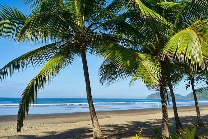 Private Shuttle Service From Monteverde Cloud Forest to Tamarindo - Additional Information