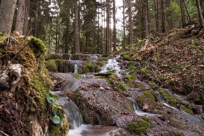 PRIVATE Skakavac Waterfall Hike - Accessibility and Participation