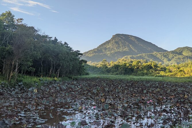 Private/Small Group -My Son Sanctuary Tour and Home Cooked Lunch - Pickup Information