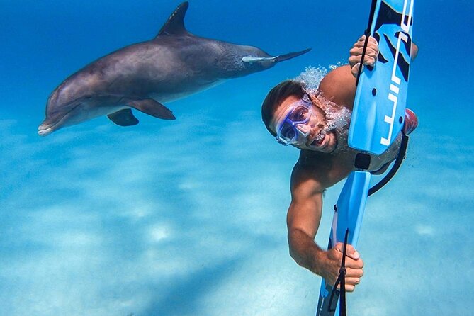 PRIVATE Speed Boat Snorkeling With Dolphins Sea Trip - Hurghada - Transfer Information