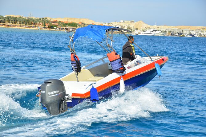 Private Speedboat Excursion Dolphin House Discovery in Hurghada - What To Expect