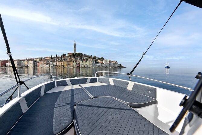 Private Sunrise Dolphin Watching With Drinks in Rovinj - Tour Overview