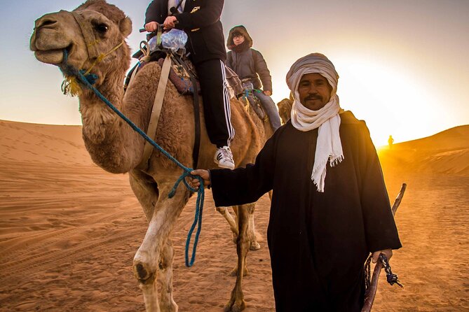 Private Sunset Camel Ride and Bedouin Dinner Tour in Marsa Alam - Activity Highlights