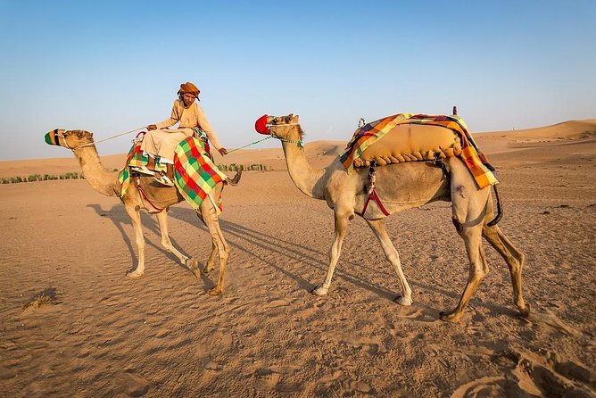 Private Sunset Camel Ride in the Palm Grove of Marrakech Palmeraie:Private Tour - Inclusions and Pickup