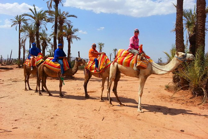 Private Sunset Camel Ride With Tea Break In Marrakeh Palm Grove - Inclusions