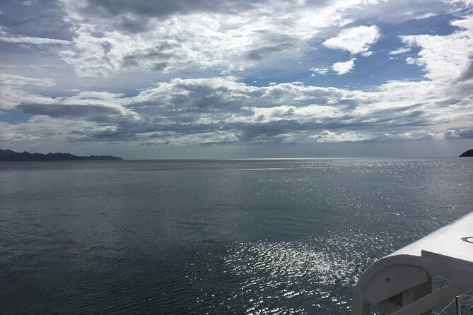Private Sunset Sailing With Snorkelling From Dreams Las Mareas - Meeting and Pickup Details