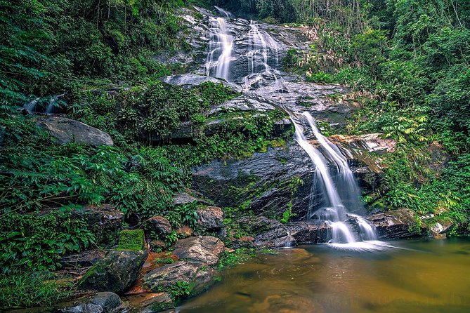 Private Tijuca Forest and Christ the Redeemer Tour - Tour Inclusions