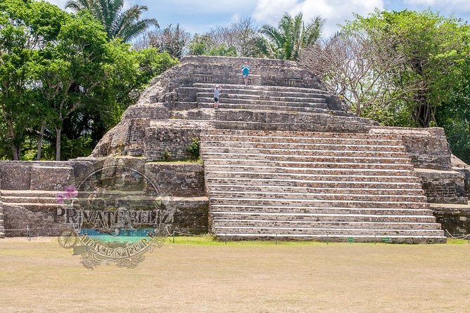 Private Tour: Altun Ha and Baboon Sanctuary From Belize City