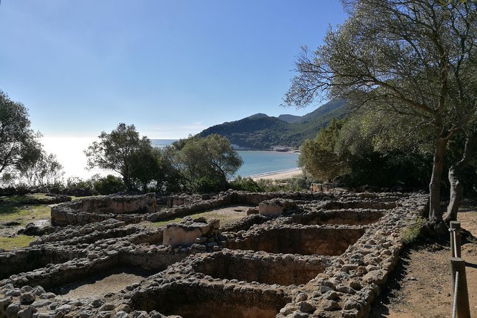 Private Tour Arrábida, Sesimbra - Tour Details