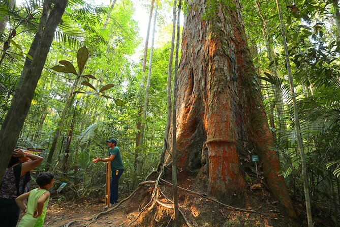 Private Tour at Musa (Botanical Garden, Amazon Museum)