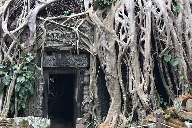 Private Tour By Car ( Angkor Wat Complex + Sunrise ) - Tour Details