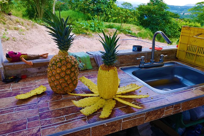 Private Tour - Citrus/Pineapple Tour (Cultivations) - Tour Highlights