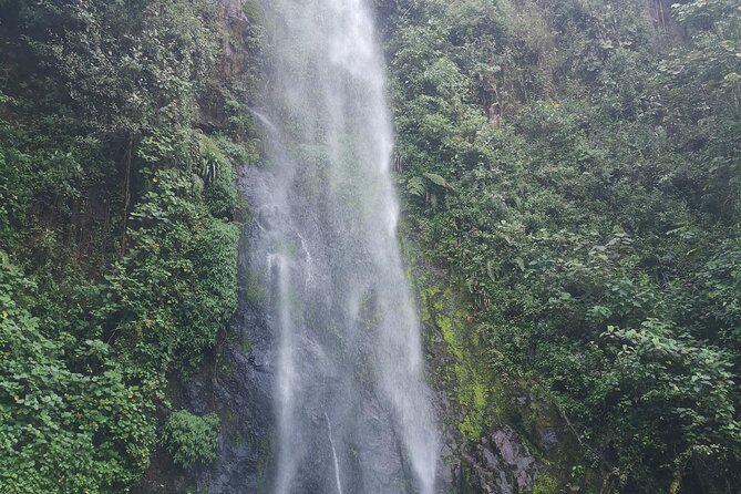 Private Tour Cueva De Los Guacharos in Antioquia With Lunch - Itinerary Details