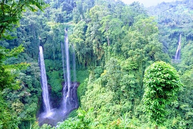 Private Tour Explore Marvelous Sekumpul Waterfall