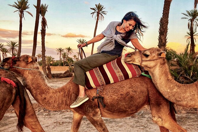 Private Tour From Marrakech to Land of 1001 Nights Ait Ben Haddou - Inclusions and Exclusions