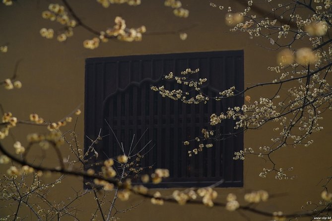 Private Tour in Suzhou - Cancellation Policy