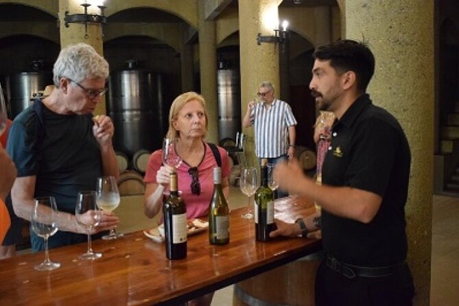 Private Tour in the Andes Mountains Pedal and Taste Wines - Inclusions and Benefits
