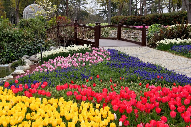 Private Tour Istanbul in Colors - Transportation Information