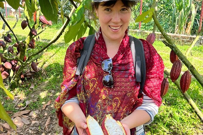 Private Tour of Chocolate Plantation and Processing - Transportation Details