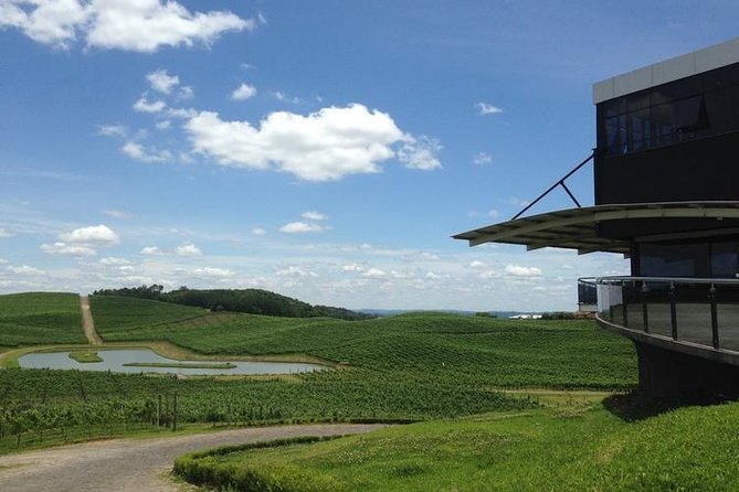 Private Tour of Luiz Argenta and 2 Other Flores Cunha Wineries - Meeting and Pickup Details