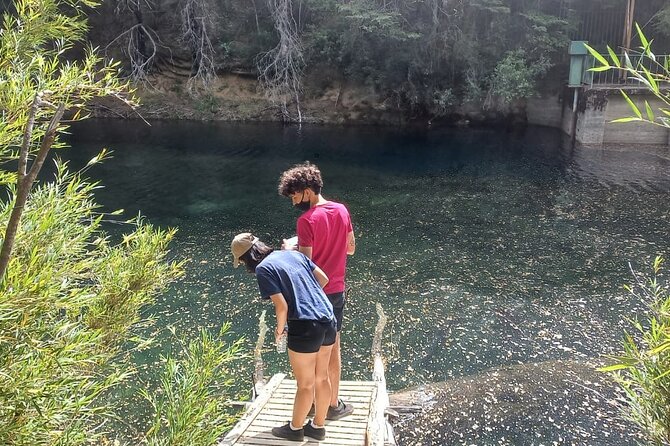 Private Tour of the Three Lakes - Tour Inclusions and Services