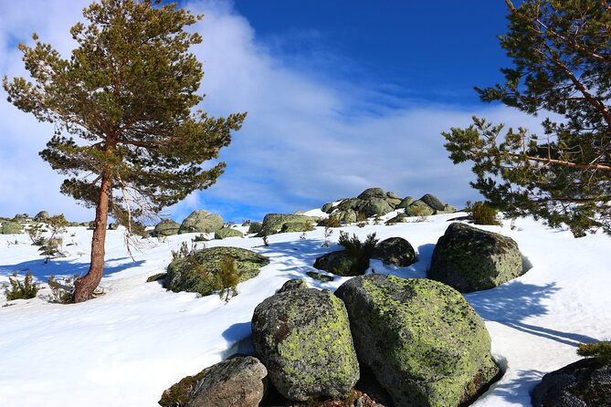 Private Tour Serra Da Estrela - Inclusions