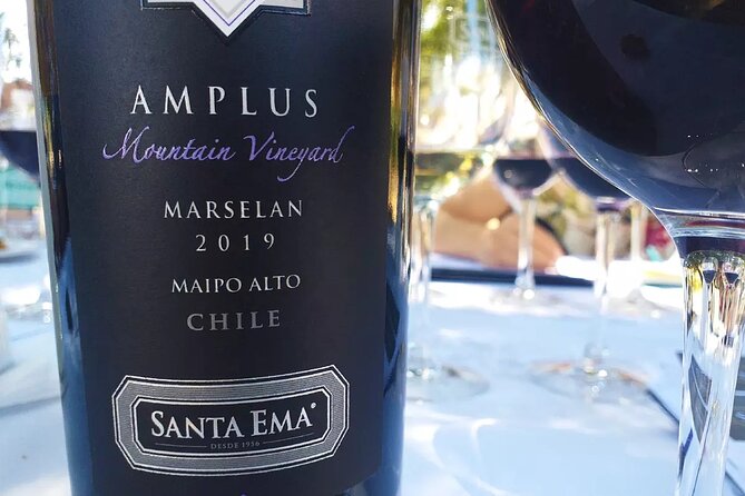 Private Tour Tarapaca Winery, Zeifendl Lunch and Santa Ema Wines - Inclusions