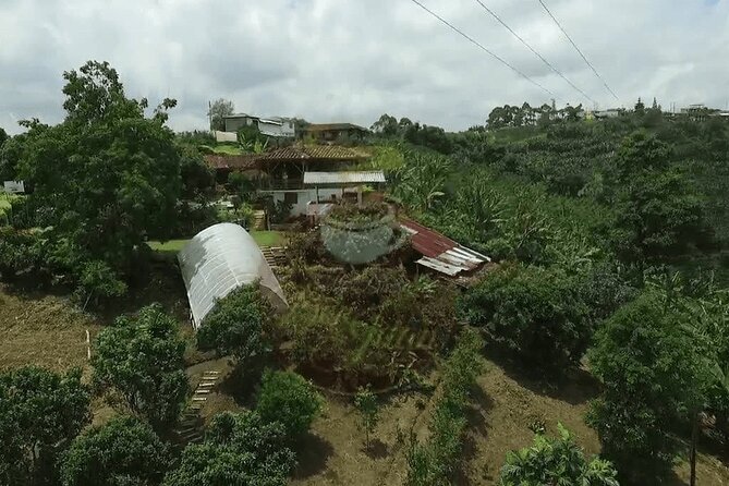 Private Tour to Coffee Farm (Farm of Your Choice) - Pickup Locations
