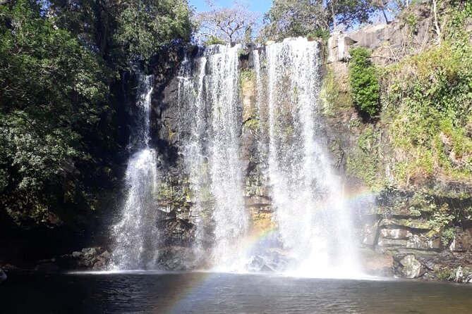 Private Tour to Llanos De Cortés Falls and Rainforest - Meeting and Pickup Details