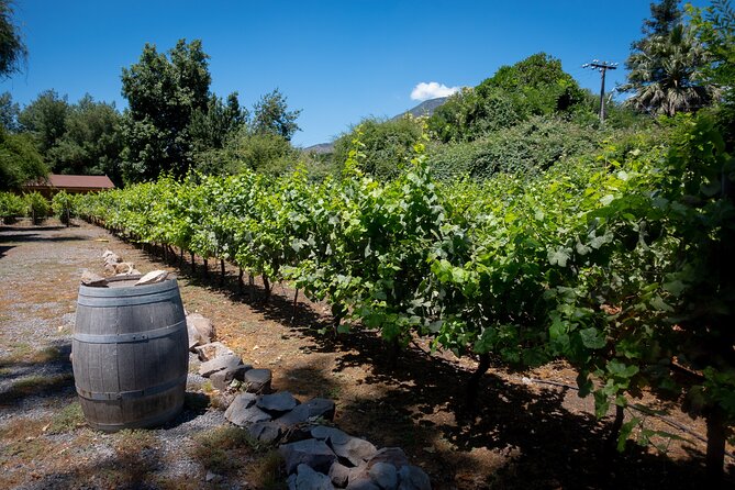 Private Tour to Maipo or Casablanca Boutique Wineries - Booking Process