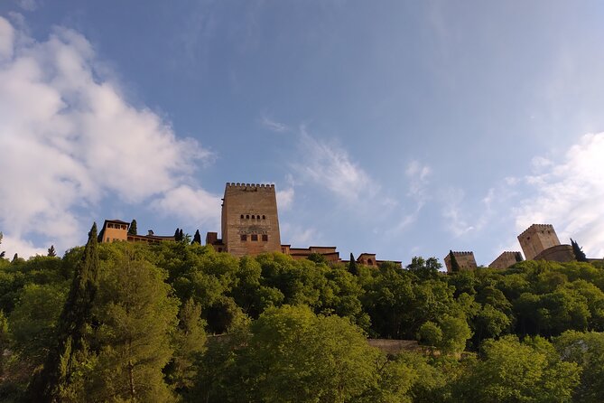 Private Tour to the Alhambra With Official Guide - Alhambra Visit Highlights